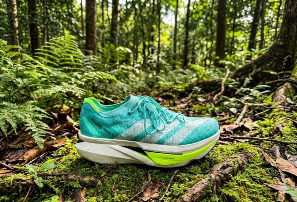 Centre Unamunocentro in Dakhla, Morocco, offers language courses in Arabic, English, Spanish, and French.